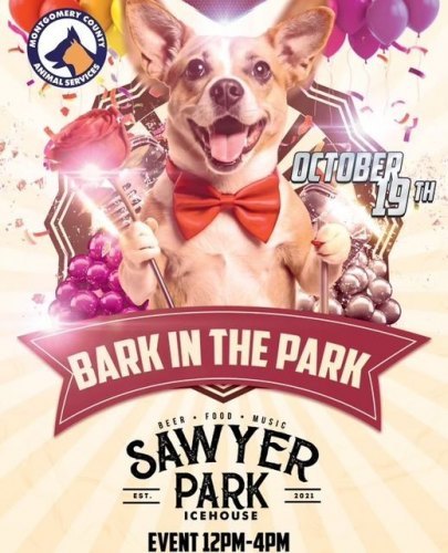 MCAS - Bark In the Park at Sawyer Park Icehouse
