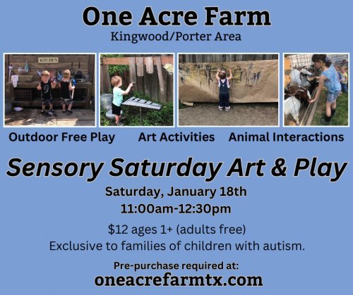 Sensory Saturday Art & Play