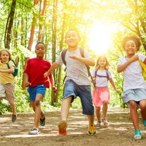 Summer Break-Out Program at Jesse Jones Park