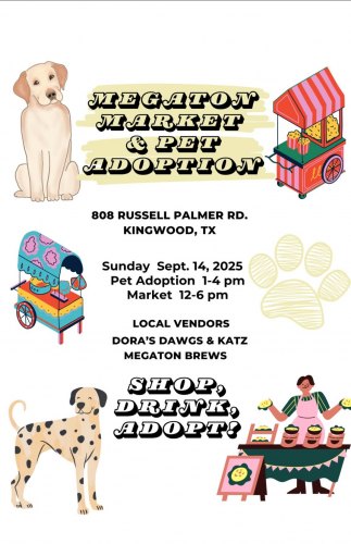 Megaton Market & Pet Adoption