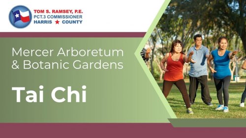 Tai Chi at Mercer Botanic Gardens