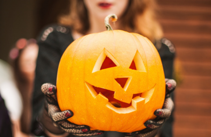 Pumpkin Palooza at Lone Star College Kingwood Campus