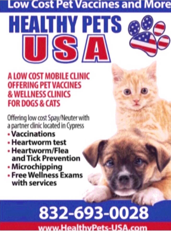 cheap neutering services near me