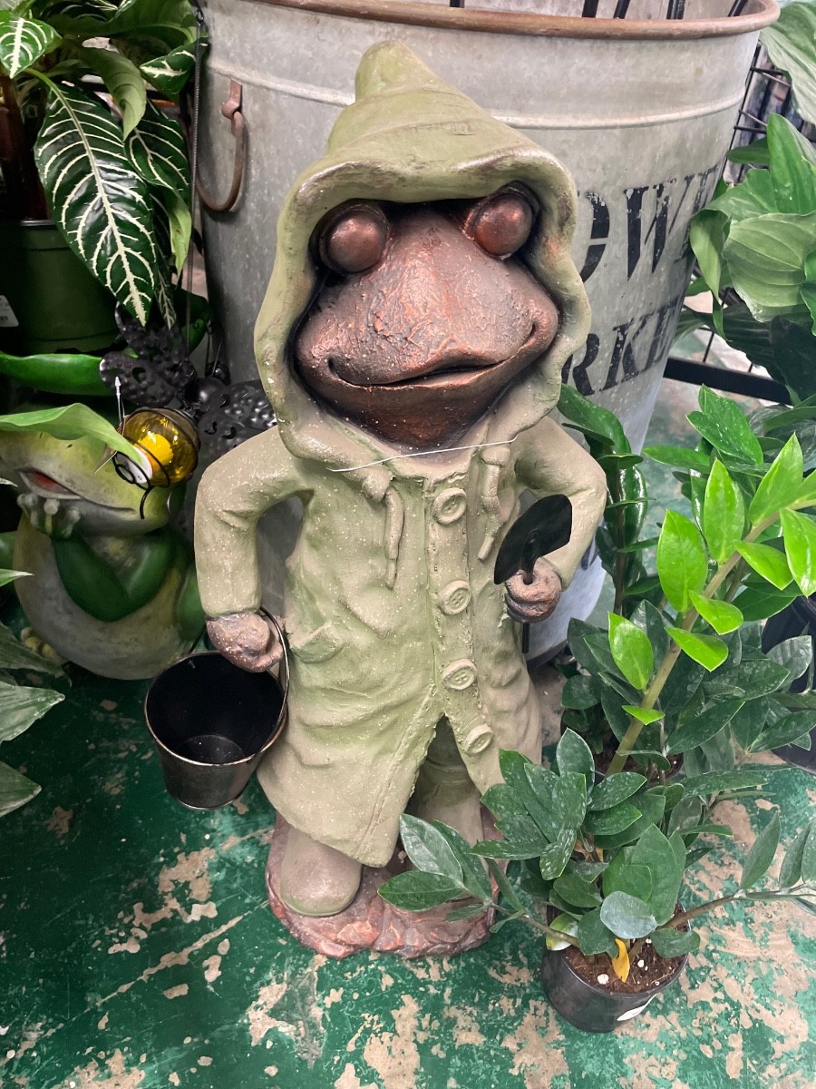Loading Image...