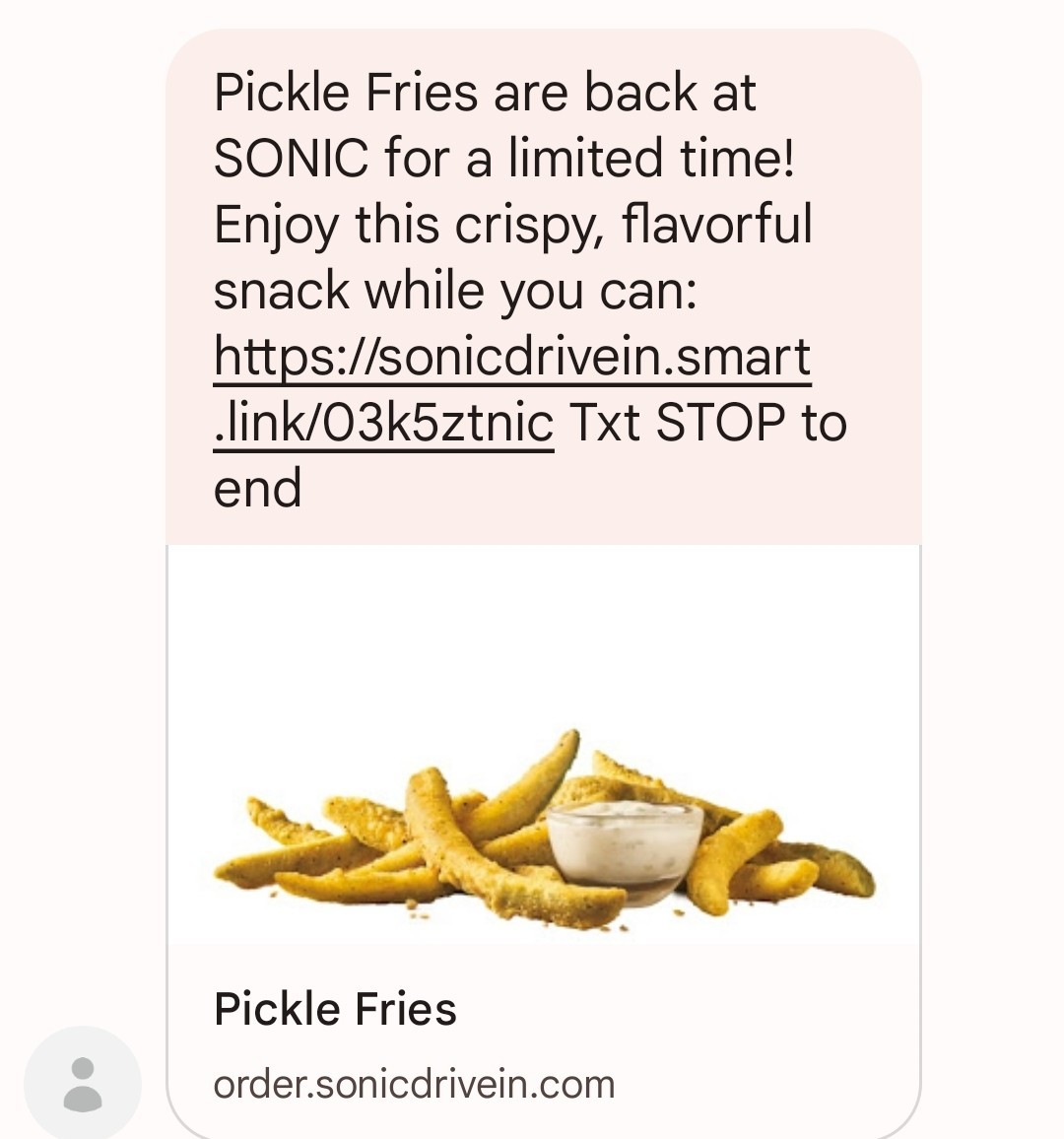 Pickle Fries at sonic