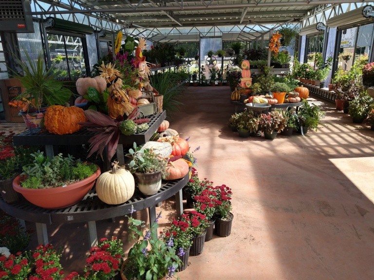 Yellow Brick Nursery